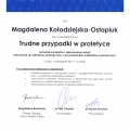 Powiększ obraz: certificate 2