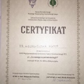 Powiększ obraz: certificate 2