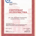 Powiększ obraz: certificate 31
