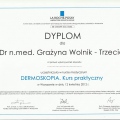 Powiększ obraz: certificate 4
