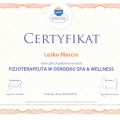 Powiększ obraz: certificate 5