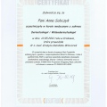 Powiększ obraz: certificate 12