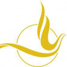 Klinika Medycyny Estetycznej Dolce Medical