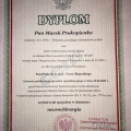 Powiększ obraz: certificate 6