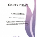 Powiększ obraz: certificate 13