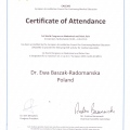 Powiększ obraz: certificate 14