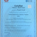 Powiększ obraz: certificate 8