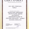Powiększ obraz: certificate 12