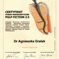 Powiększ obraz: certificate 6