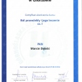 Powiększ obraz: certificate 7
