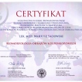 Powiększ obraz: certificate 9