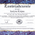 Powiększ obraz: certificate 5