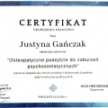 Powiększ obraz: certificate 4