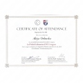 Powiększ obraz: certificate 48