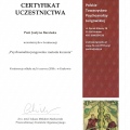 Powiększ obraz: certificate 3