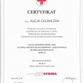 Powiększ obraz: certificate 3