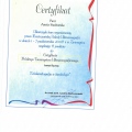 Powiększ obraz: certificate 9