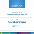 Powiększ obraz: certificate 25