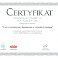 Powiększ obraz: certificate 10