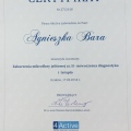 Powiększ obraz: certificate 1