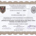 Powiększ obraz: certificate 9