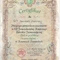 Powiększ obraz: certificate 7