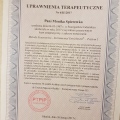 Powiększ obraz: certificate 2