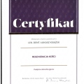 Powiększ obraz: certificate 31