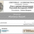 Powiększ obraz: certificate 8