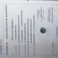 Powiększ obraz: certificate 20