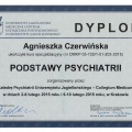 Powiększ obraz: certificate 5