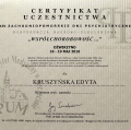 Powiększ obraz: certificate 11