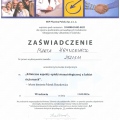 Powiększ obraz: certificate 12