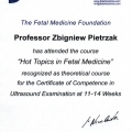 Powiększ obraz: certificate 6