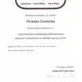 Powiększ obraz: certificate 5