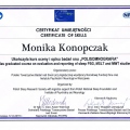 Powiększ obraz: certificate 3
