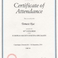 Powiększ obraz: certificate 6