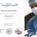 Powiększ obraz: certificate 4