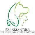 SALAMANDRA Przychodnia WeterynaryjnaKraków - 