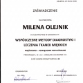 Powiększ obraz: certificate 3