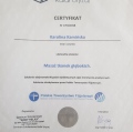 Powiększ obraz: certificate 2