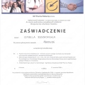 Powiększ obraz: certificate 11