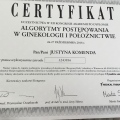 Powiększ obraz: certificate 2