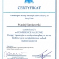 Powiększ obraz: certificate 12