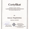 Powiększ obraz: certificate 15
