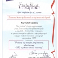 Powiększ obraz: certificate 1