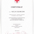Powiększ obraz: certificate 8