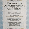Powiększ obraz: certificate 8