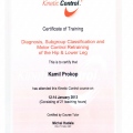 Powiększ obraz: certificate 21