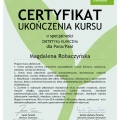 Powiększ obraz: certificate 15